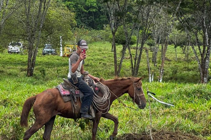 Ninio caballo El Triunfo