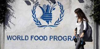 Programa Mundial de Alimentos activa medidas tempranas frente a sequías en Centroamérica.