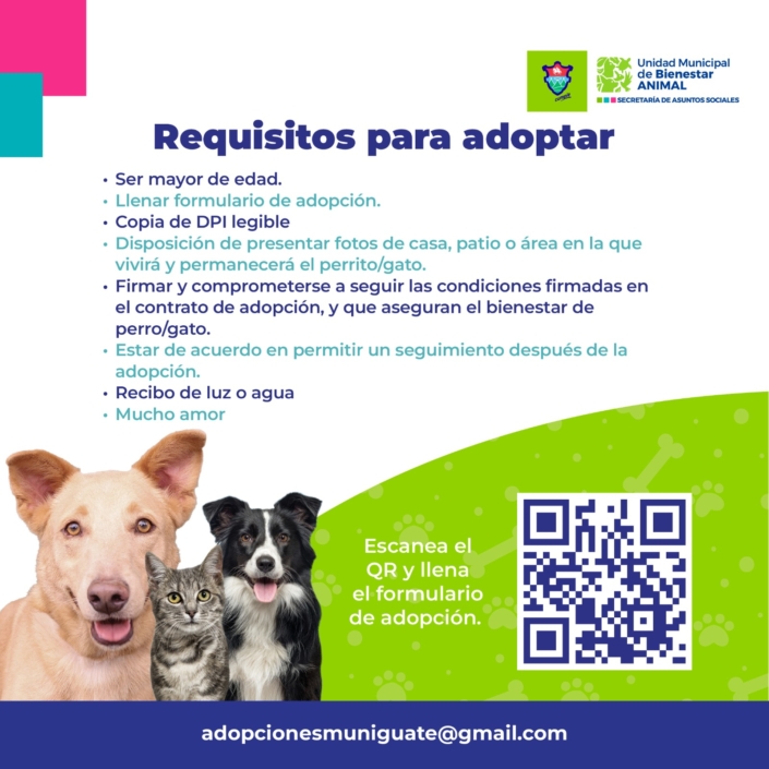 Más de 80 perros están listos para adopción. Foto La Hora: MuniGuate.