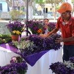 La plaza central de la aldea San Pedro Las Huertas será el lugar del II Festival de la Estaticia. Foto La Hora: Comisión Local de San Pedro Las Huertas