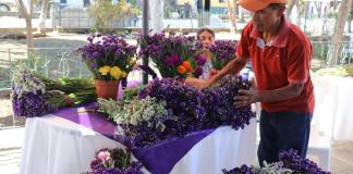 La plaza central de la aldea San Pedro Las Huertas será el lugar del II Festival de la Estaticia. Foto La Hora: Comisión Local de San Pedro Las Huertas