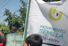 Tras orden de Fredy Orellana, TSE oficializa cancelación del partido político Movimiento Semilla