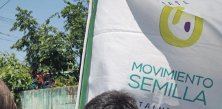 Tras orden de Fredy Orellana, TSE oficializa cancelación del partido político Movimiento Semilla