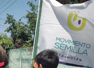 Tras orden de Fredy Orellana, TSE oficializa cancelación del partido político Movimiento Semilla