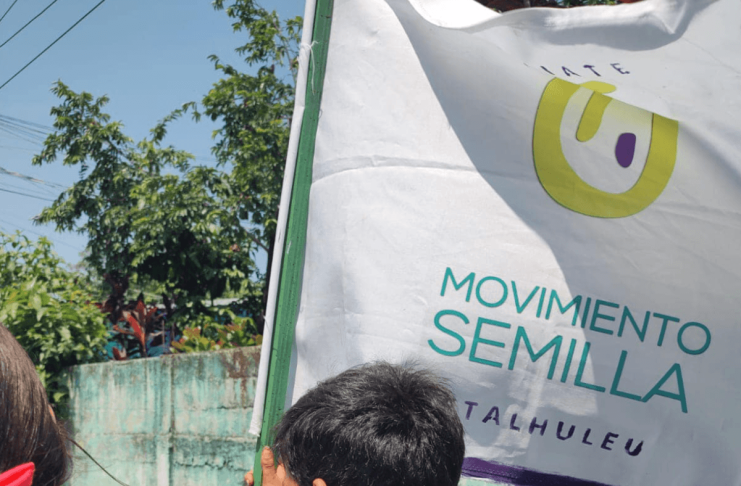 Tras orden de Fredy Orellana, TSE oficializa cancelación del partido político Movimiento Semilla