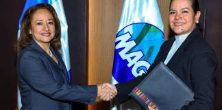 MAGA juramenta a nueva viceministra de Seguridad Alimentaria Dinora Herrera del Valle.