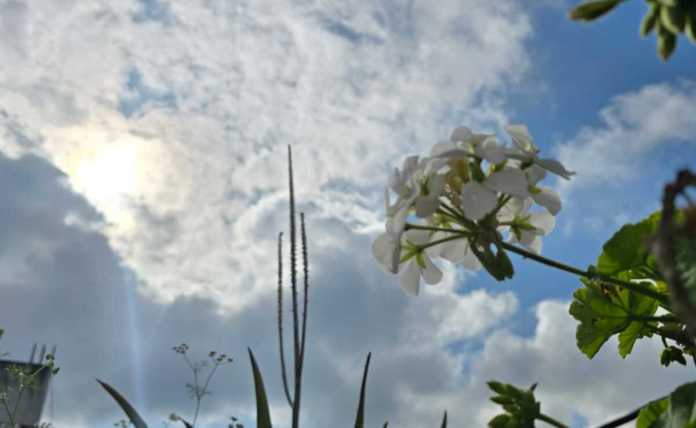 El clima en el territorio nacional será cálido durante el fin de semana, sin embargo, el Insivumeh no descarta la presencia de lluvias. Foto La Hora: Sergio Osegueda