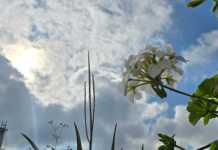 El clima en el territorio nacional será cálido durante el fin de semana, sin embargo, el Insivumeh no descarta la presencia de lluvias. Foto La Hora: Sergio Osegueda