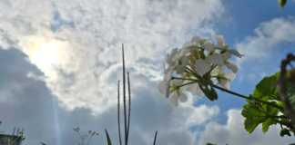 El clima en el territorio nacional será cálido durante el fin de semana, sin embargo, el Insivumeh no descarta la presencia de lluvias. Foto La Hora: Sergio Osegueda