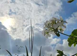 El clima en el territorio nacional será cálido durante el fin de semana, sin embargo, el Insivumeh no descarta la presencia de lluvias. Foto La Hora: Sergio Osegueda