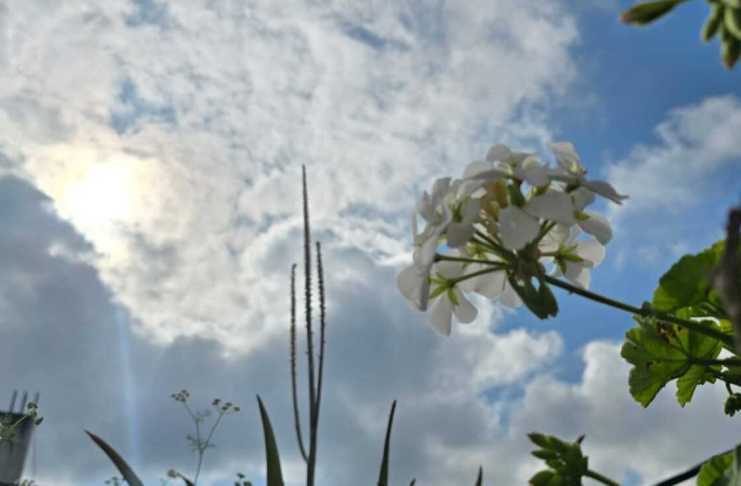 El clima en el territorio nacional será cálido durante el fin de semana, sin embargo, el Insivumeh no descarta la presencia de lluvias. Foto La Hora: Sergio Osegueda