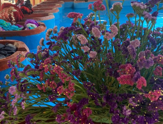 II Festival de la Estaticia. Foto: Carlos Vicente