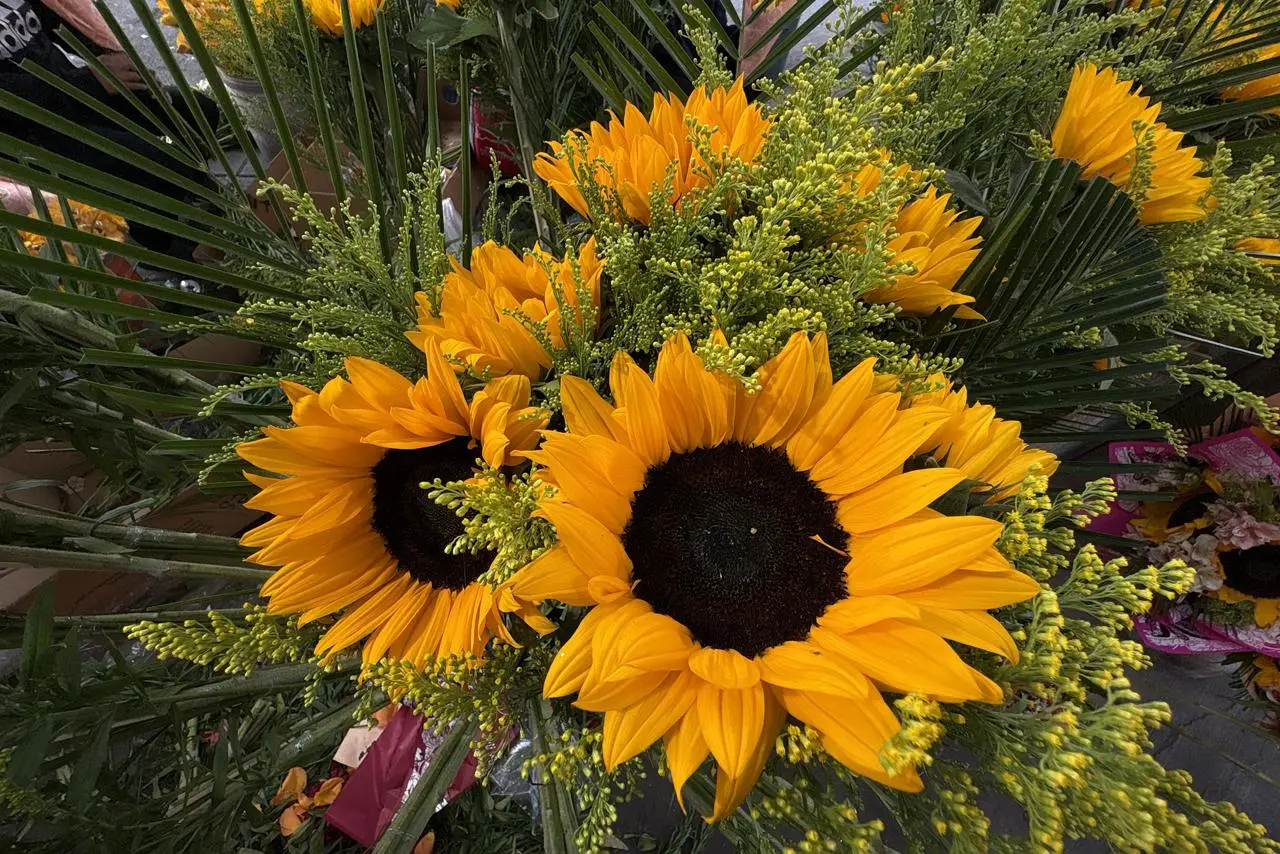 El 21 de marzo es una de las fechas más esperadas por las parejas, por un gesto que se ha hecho popular: regalar flores amarillas.