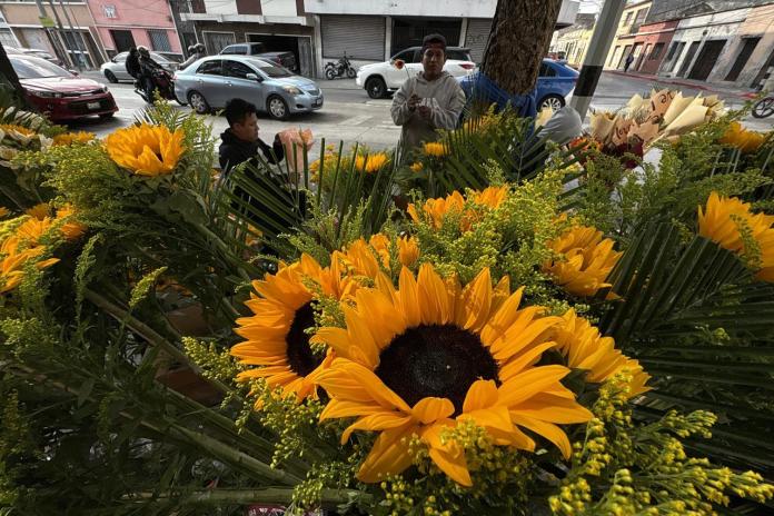 Cada 21 de marzo, regalar flores amarillas se convierte en uno de los gestos más difundidos las en redes sociales.