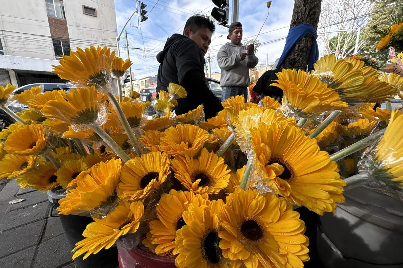 Regalar flores amarillas ya no solo es una costumbre entre parejas; también se regalan a amigos y familiares. Foto: La Hora/José Orozco.