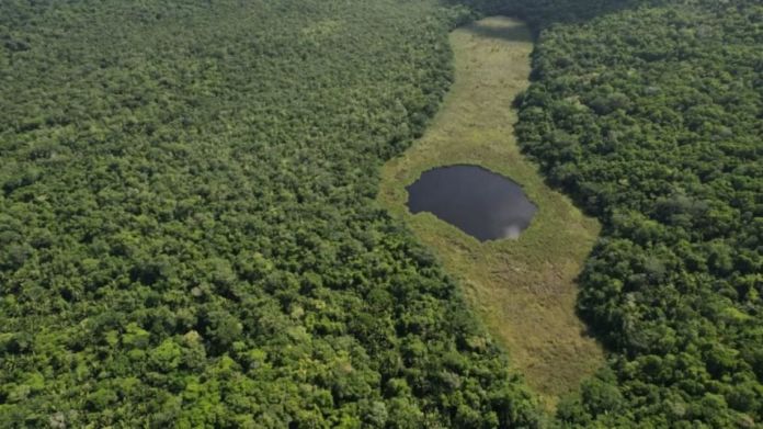El Parque Nacional Yaxhá-Nakum-Naranjo se ubica en el noreste del departamento de Petén. Foto La Hora: Conap