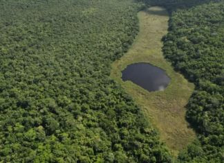 El Parque Nacional Yaxhá-Nakum-Naranjo se ubica en el noreste del departamento de Petén. Foto La Hora: Conap