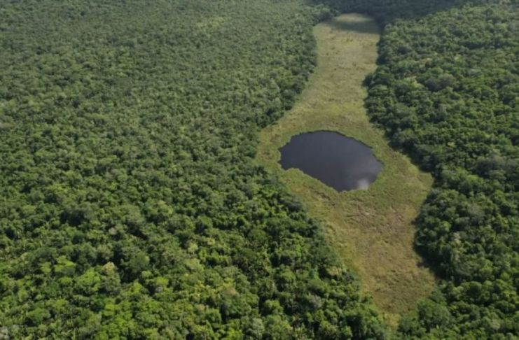 El Parque Nacional Yaxhá-Nakum-Naranjo se ubica en el noreste del departamento de Petén. Foto La Hora: Conap
