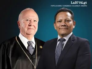 En 2025, Molina Barreto votó en favor de facción contraria a Armando Castillo en VIVA; ahora les pide sus votos