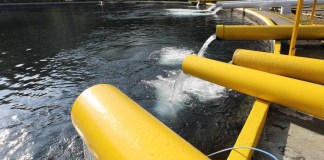 Pozo municipal Ojo de Agua. Foto: Empagua