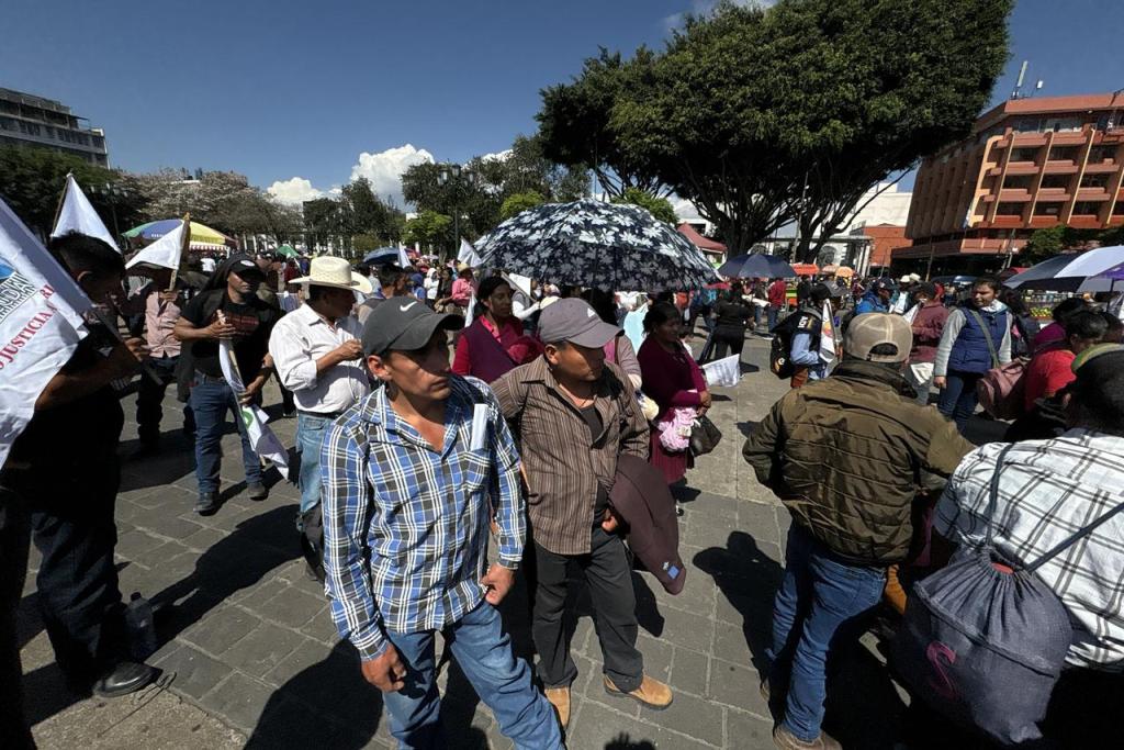 Integrantes de organización campesina se reúnen en la Plaza de la Constitución. Foto La Hora: José Orozco