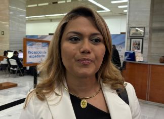 Beyla Adaly Xiomara Estrada Barrientos fue la primera candidata en ser incluida en la nómina de Fiscal General.