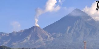 Explosiones y columnas de ceniza del volcán Santiaguito. Foto La Hora: Conred