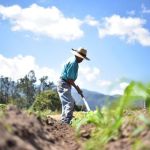 Archivo agricultor durante incremento de calor en el territorio nacional. Foto La Hora: Maga