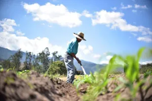 Guatemala con menos noches frescas: el aumento de temperaturas alcanza al occidente y el altiplano