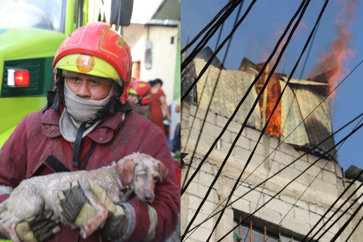 Miembros de una familia resultan intoxicados por incendio; las mascotas también son rescatas