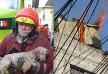 Incendio en vivienda de Mixco deja personas intoxicadas; bomberos rescatan a varios perritos. Foto La Hora: CBM.