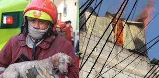 Incendio en vivienda de Mixco deja personas intoxicadas; bomberos rescatan a varios perritos. Foto La Hora: CBM.