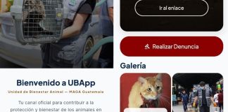 UBApp, una herramienta diseñada para que la población pueda reportar casos de maltrato animal. Foto La Hora: MAGA.