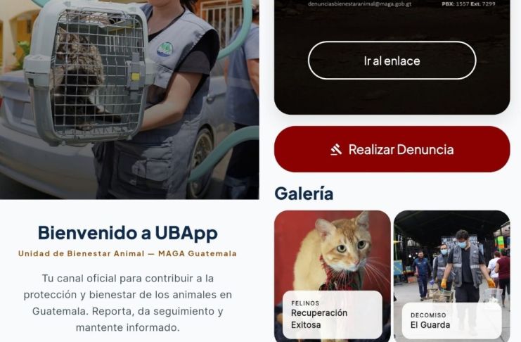 UBApp, una herramienta diseñada para que la población pueda reportar casos de maltrato animal. Foto La Hora: MAGA.