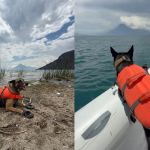 Unidades caninas marcan posible ubicación del cuerpo de Jesler Palacios en lago de Atitlán. Foto La Hora: CVB.