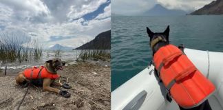 Unidades caninas marcan posible ubicación del cuerpo de Jesler Palacios en lago de Atitlán. Foto La Hora: CVB.