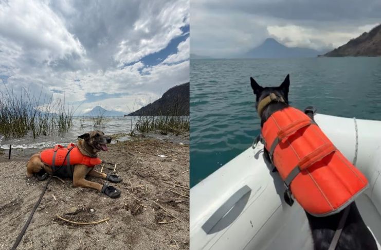 Unidades caninas marcan posible ubicación del cuerpo de Jesler Palacios en lago de Atitlán. Foto La Hora: CVB.
