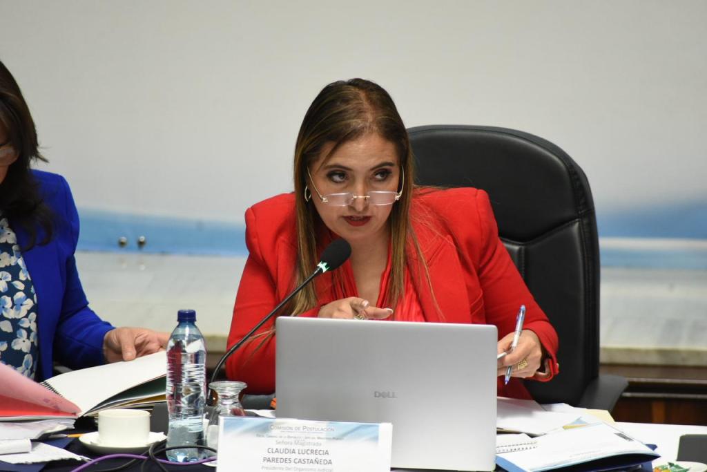 Claudia Paredes, presidente de la postuladora al MP. Foto José Orozco