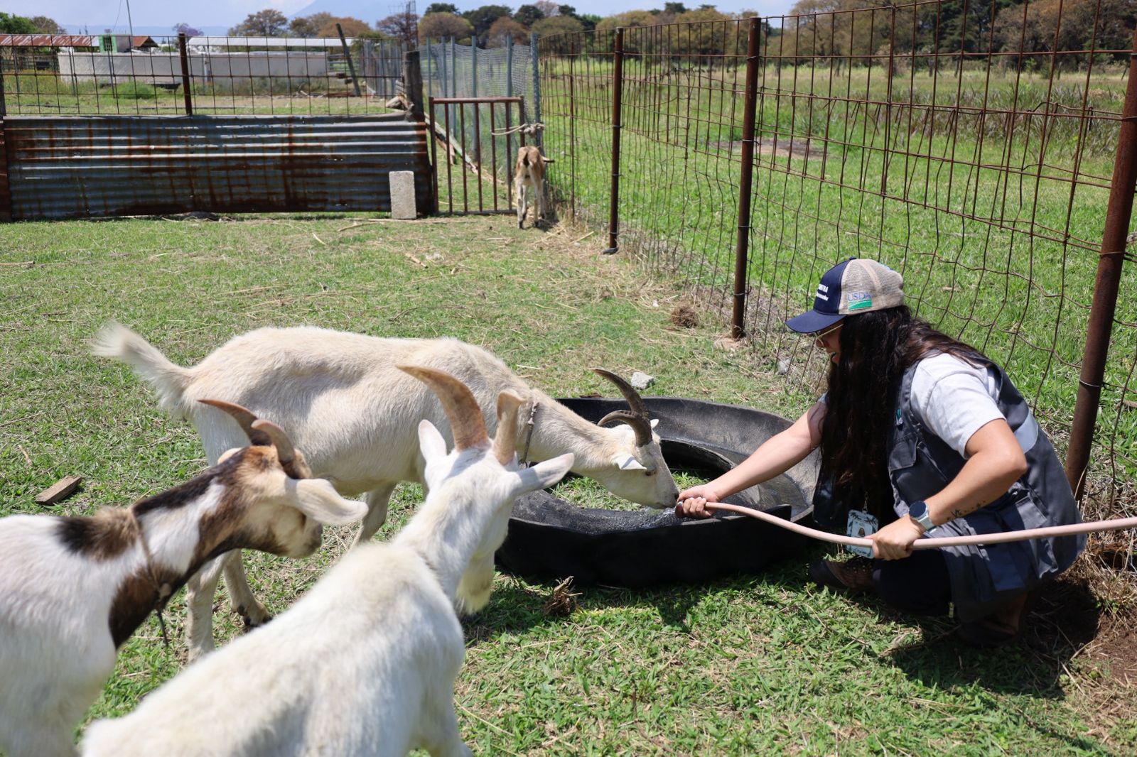 MAGA inspecciona granja experimental de la Usac tras denuncias ciudadanas