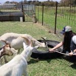 Autoridades realizaron una inspección en la granja experimental de la Universidad de San Carlos de Guatemala. Foto La Hora: MAGA.