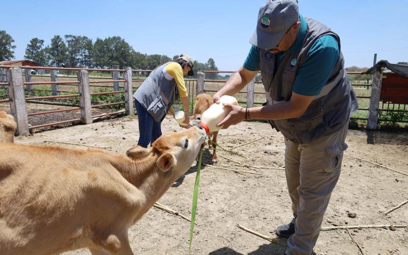 MAGA verifica condiciones y atiende casos en granja de la Usac