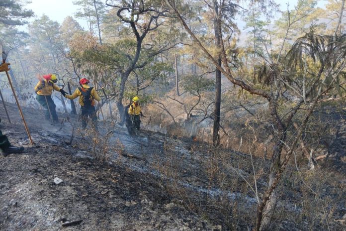 Archivo de incendio registrado en el departamento de Zacapa. Foto La Hora: Conred