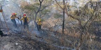 Archivo de incendio registrado en el departamento de Zacapa. Foto La Hora: Conred
