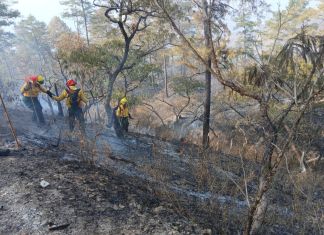 Archivo de incendio registrado en el departamento de Zacapa. Foto La Hora: Conred