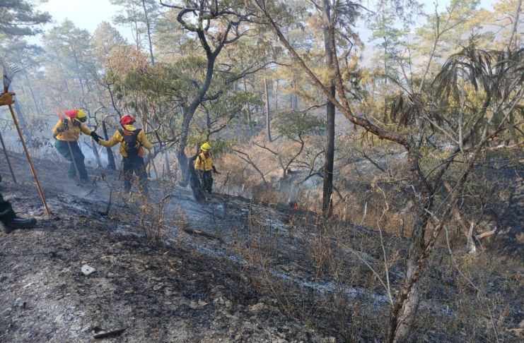 Archivo de incendio registrado en el departamento de Zacapa. Foto La Hora: Conred