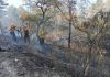 Archivo de incendio registrado en el departamento de Zacapa. Foto La Hora: Conred