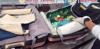 Pasajera que transportaba lienzos con cocaína adherida a la pintura es detenida en Aeropuerto de México. Foto La Hora: SEMARMX.