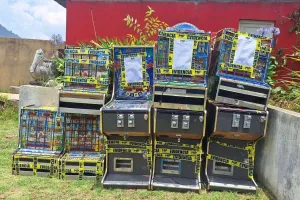 Incautan más de Q27 mil que se encontraban dentro de maquinas tragamonedas tras operativo en San Marcos