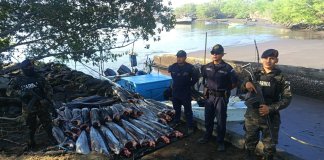 Interceptan embarcación que transportaba peces vela sin documentación en el Pacífico. Foto La Hora: Ejército de Guatemala.
