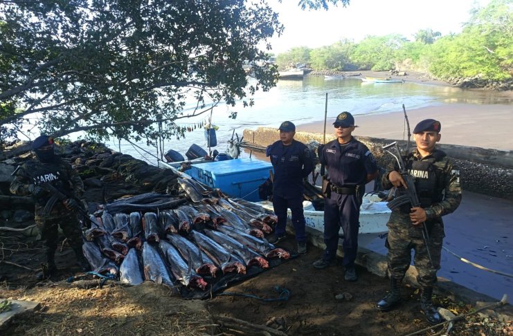Interceptan embarcación que transportaba peces vela sin documentación en el Pacífico. Foto La Hora: Ejército de Guatemala.